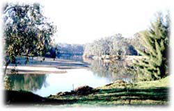 Corowa Golf Club Motel - Accommodation Mooloolaba 0