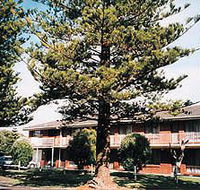 Eastern Beach Holiday Units - Accommodation Mooloolaba