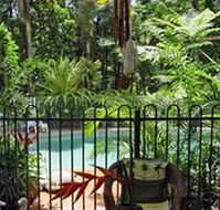 Daintree Rainforest Retreat Motel - Accommodation Mooloolaba