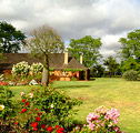 Houghton Winery - Accommodation Mooloolaba