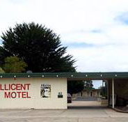 Millicent Motel - Accommodation Mooloolaba