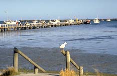 Compton SA Accommodation Mooloolaba