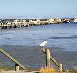 Seaview Motel and Holiday Units - Accommodation Mooloolaba