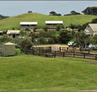 Ace Hi Riding Ranch - Accommodation Mooloolaba