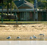 Best Western Coastal Waters Motor Inn - Accommodation Mooloolaba