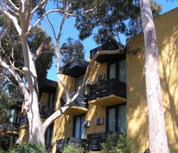 Pathfinder Motel - Accommodation Mooloolaba 1