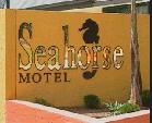 Seahorse Motel - Accommodation Mooloolaba 1