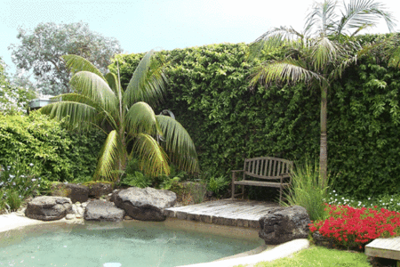 The Tropicana Motor Inn - Accommodation Mooloolaba 2