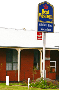 Best Western Whalers Rest Motor Inn - Accommodation Mooloolaba