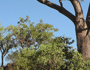 Lakeview Apartments Kununurra - Accommodation Mooloolaba 3