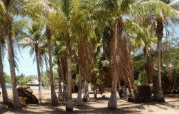 King Sound Resort Hotel - Accommodation Mooloolaba