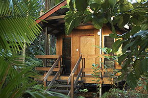 Cape Tribulation QLD Accommodation Mooloolaba