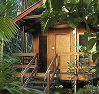 Cape Trib Beach House - Accommodation Mooloolaba
