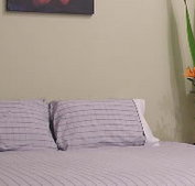 Stingo Hotel - Accommodation Mooloolaba