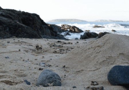 Hawaiian Sands Motor Inn - Accommodation Mooloolaba 4