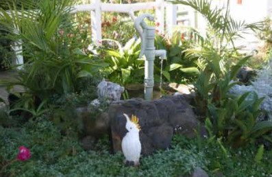 Kingfisher Motel - Accommodation Mooloolaba 3