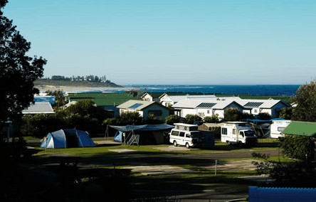 Blue Lagoon Beach Resort - Accommodation Mooloolaba 3