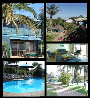 Pandanus Palms Resort - Accommodation Mooloolaba 1