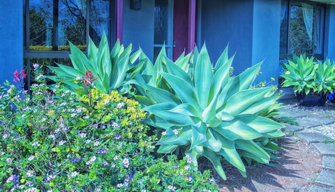 Possum Creek Lodge - Accommodation Mooloolaba 2
