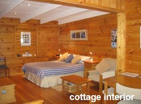 Anglesea Rivergums - Accommodation Mooloolaba 0