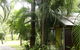 Rum Jungle Bungalows - thumb 3
