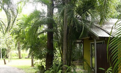Rum Jungle Bungalows - Accommodation Mooloolaba 3