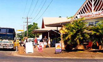 Mission Beach Rainforest Motel - Accommodation Mooloolaba 0