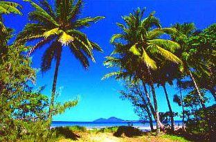 Mission Beach Rainforest Motel - Accommodation Mooloolaba 1
