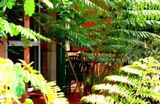 Mission Beach Rainforest Motel - Accommodation Mooloolaba 3