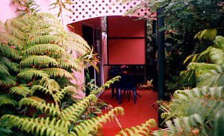 Mission Beach Rainforest Motel - Accommodation Mooloolaba 4
