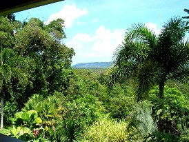 Daintree Manor - Accommodation Mooloolaba 3