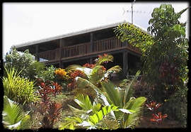 Daintree Manor - Accommodation Mooloolaba 5