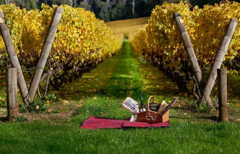 Lindenderry At Red Hill - Accommodation Mooloolaba 5