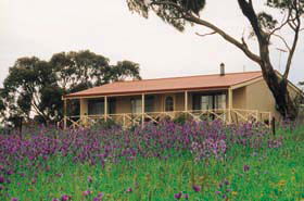 Armagh SA Accommodation Mooloolaba