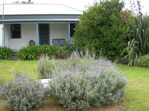 Ruby's Robe Cottage - Accommodation Mooloolaba 5
