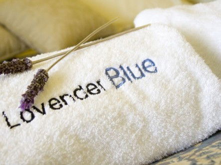 Lavender Blue Country Apartments - Accommodation Mooloolaba 3