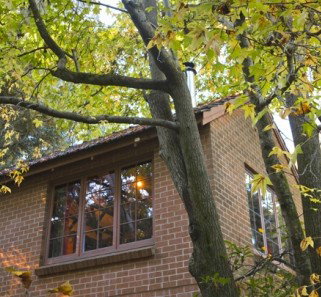 Crafers Cottages - Cherrytree Cottage - Accommodation Mooloolaba 4