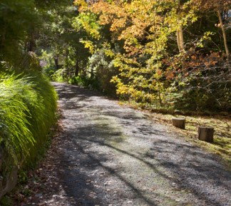 Crafers Cottages - Cherrytree Cottage - Accommodation Mooloolaba 5