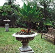 Bangalow Retreat - Accommodation Mooloolaba