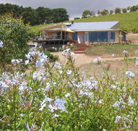The Blue Grape Vineyard Accommodation - Accommodation Mooloolaba