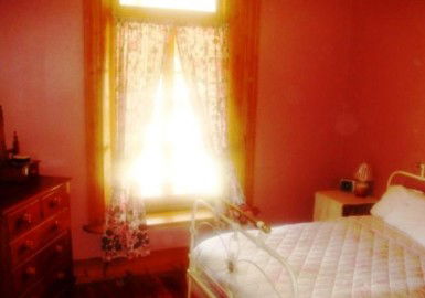 Old Willows Country Estate - Accommodation Mooloolaba 3