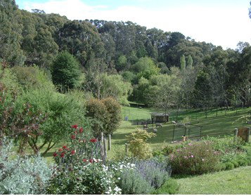 Lorikeet Lane B&B - Accommodation Mooloolaba 1