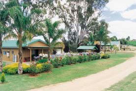 Mundic Grove Cottage - Accommodation Mooloolaba 2