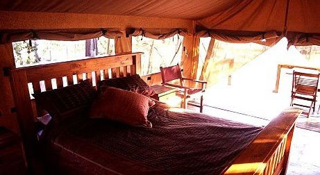 Jabiru Safari Lodge At Mareeba Wetlands - Accommodation Mooloolaba 1