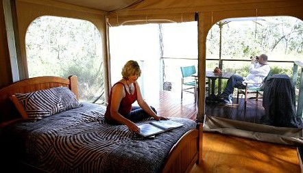Jabiru Safari Lodge At Mareeba Wetlands - Accommodation Mooloolaba 2