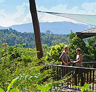 Rose Gums Wilderness Retreat - Accommodation Mooloolaba