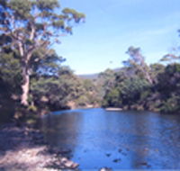 Douglas River Cabin - Accommodation Mooloolaba