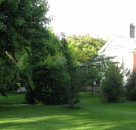 Oakdene Heritage Accommodation - Accommodation Mooloolaba