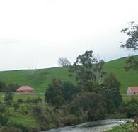 Tin Dragon Trail Cottages