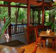 Daintree Wilderness Lodge - Accommodation Mooloolaba